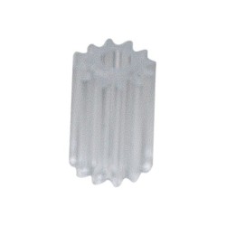 NOTTOLINO DENTATO A.31 X MR89