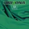 PANNO RENZLINE ARIZONA 160 VERDE  COMPOSIZIONE: 45% LANA - 55% PL