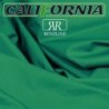 PANNO RENZLINE CALIFORNIA  167 VERDE COMPOSIZIONE: 67% PES - 33% VI