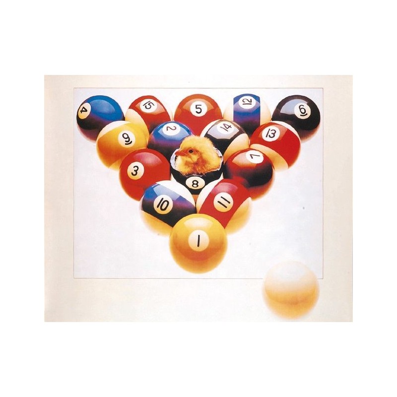 POSTER CHICK IN 8-BALL cm. 75X60