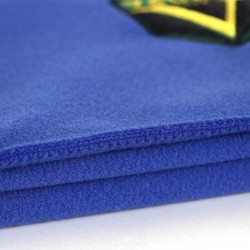 SPUGNA ANTISTATICA VAULA PER PANNO