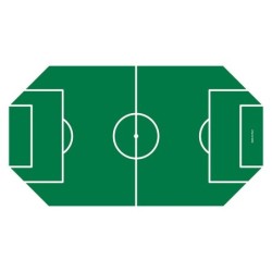 VETRO SERIGRAFATO PER CALCETTO DA ESTERNO 114X63CM