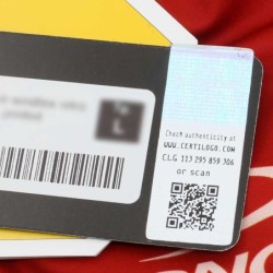 FELPA LONGONI AZZURRA CON PROFILI TRICOLORE COTONE 100%-TAGLIA XXL