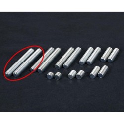 STECCA LONGONI 'EVOLUZIONE CITRUS'  ZANETTI - WJ - S20 - LIMITED