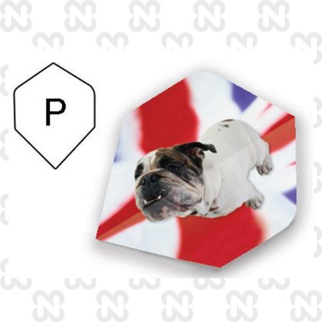 ALETTE MAESTRO STANDARD